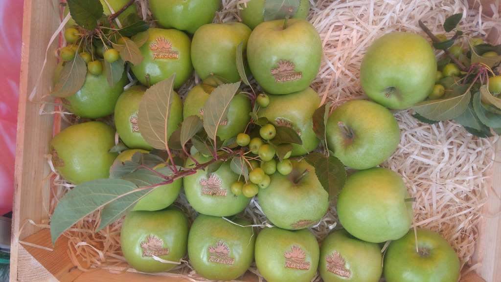 39588910 286563372121566 7080423410462883840 n