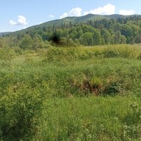 Wyjazd studyjny w Bieszczady