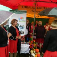 LGD na Dożynkach Powiatu Przysuskiego